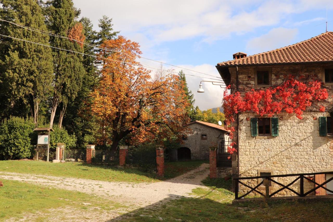 Agriturismo Villaggio Eden Пиеве Санто Стефано Екстериор снимка